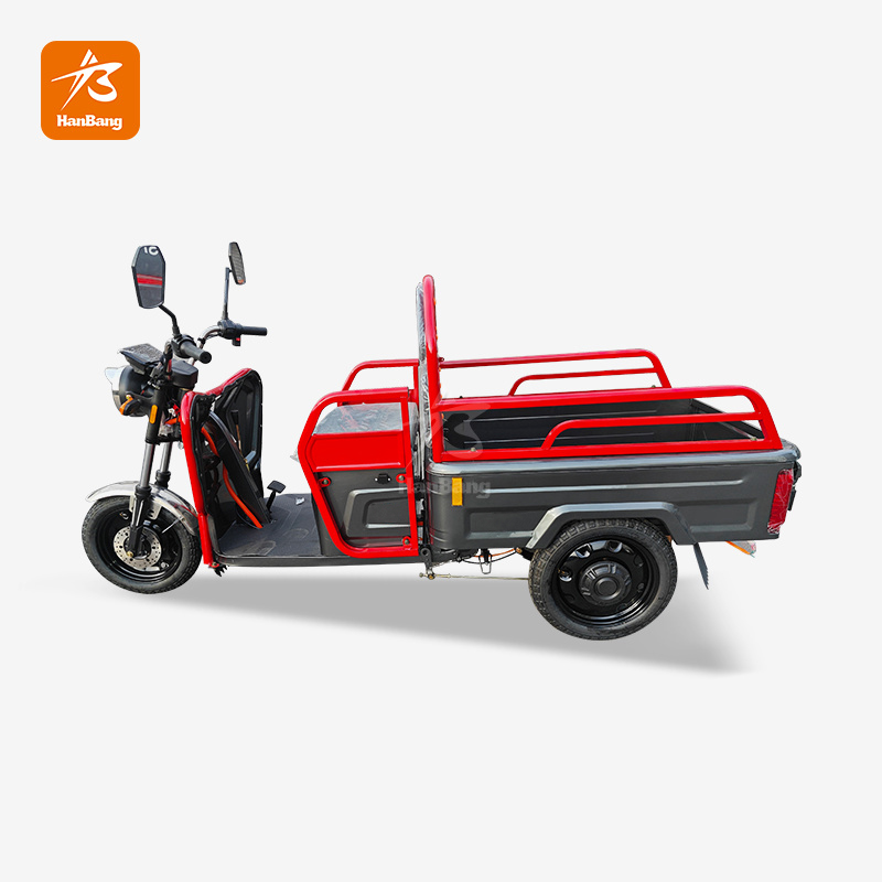 Leisure cargo tricycle electric with EEC certification